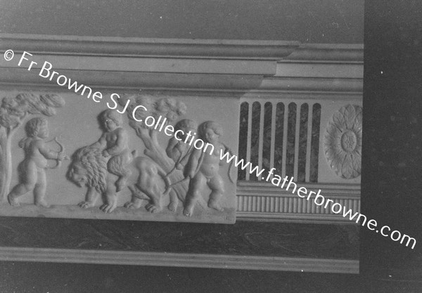 ABBEYLEIX HOUSE  FIREPLACE IN LIBRARY DETAIL